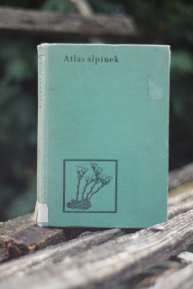 Atlas Alpínek  Albert Pilát