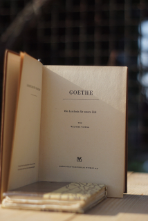 Goethe. Ein Lesebuch für unsere Zeit Victor Walther