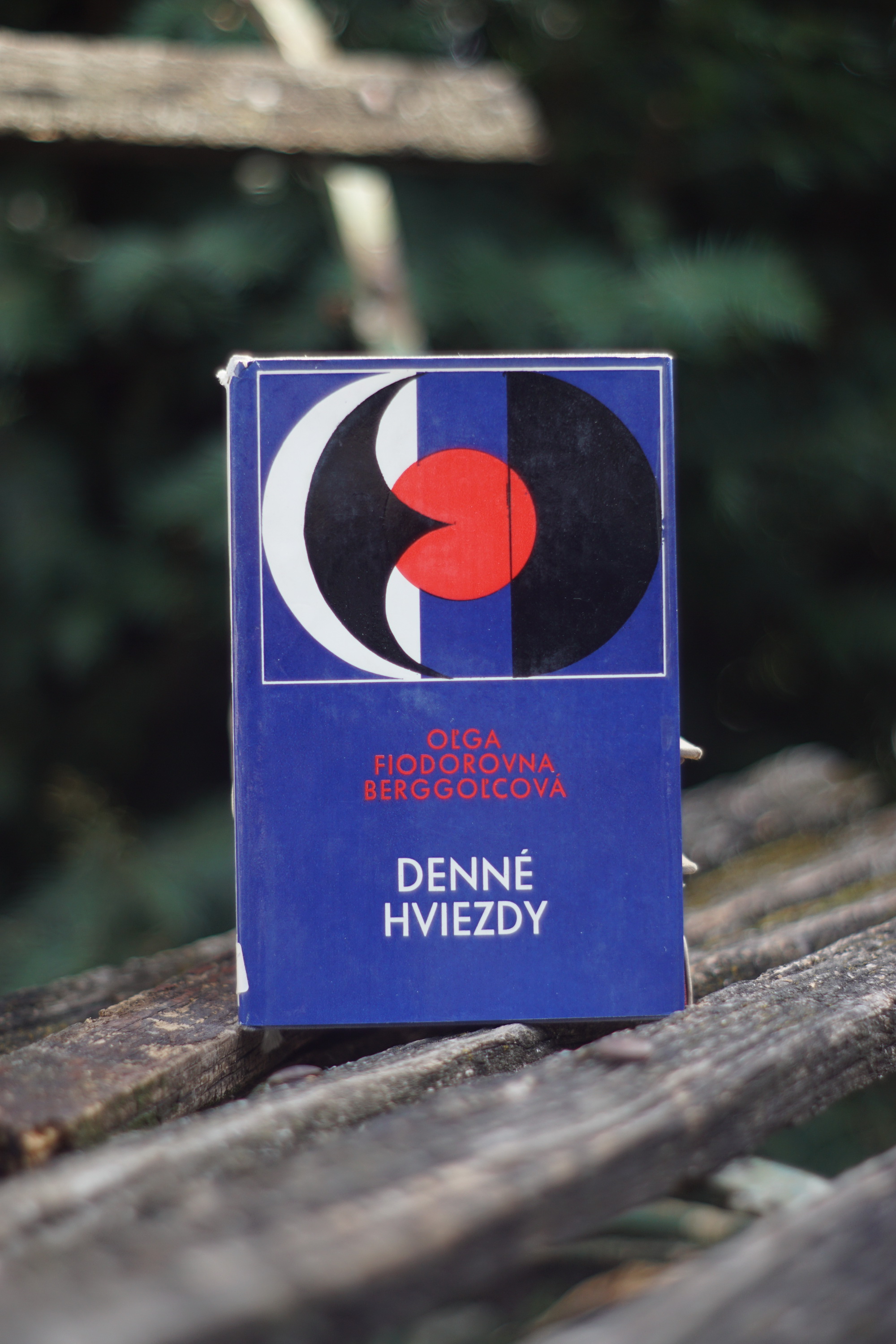 Pahorek z písku Ray Rigby