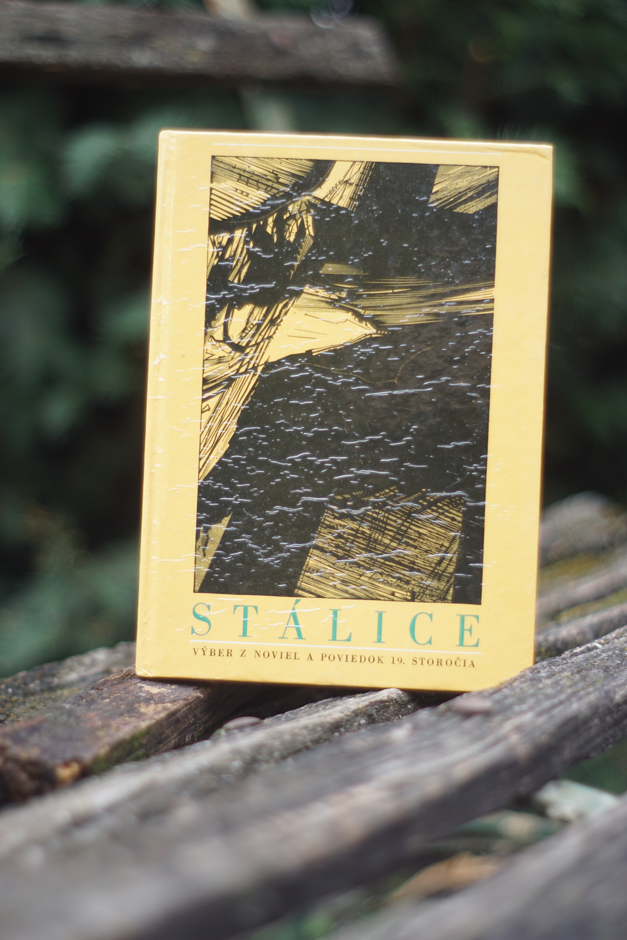 Stálice