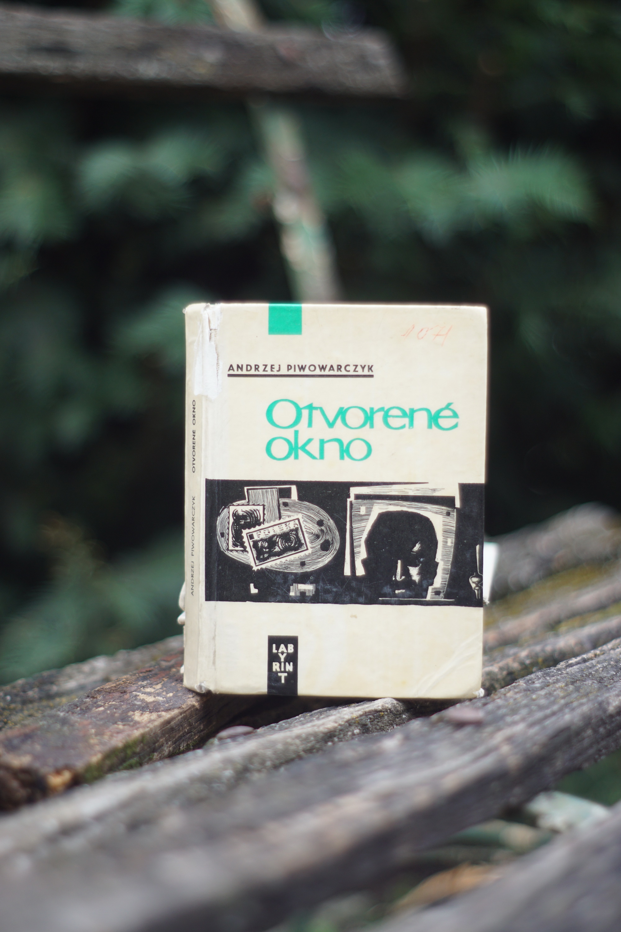 Otvorené okno Andrzej Piwowarczyk