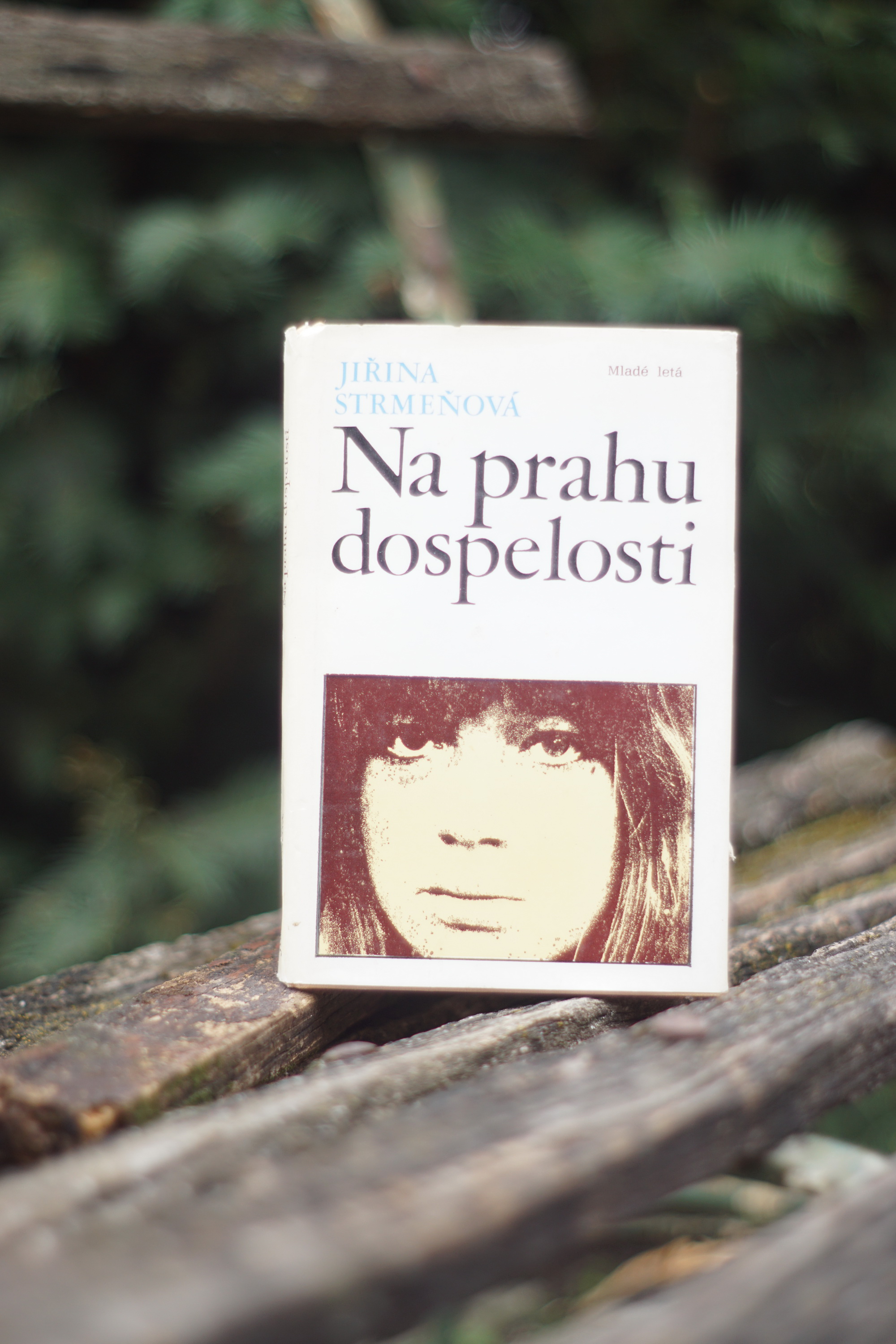 Na prahu dospelosti Jiřina Strmeňová