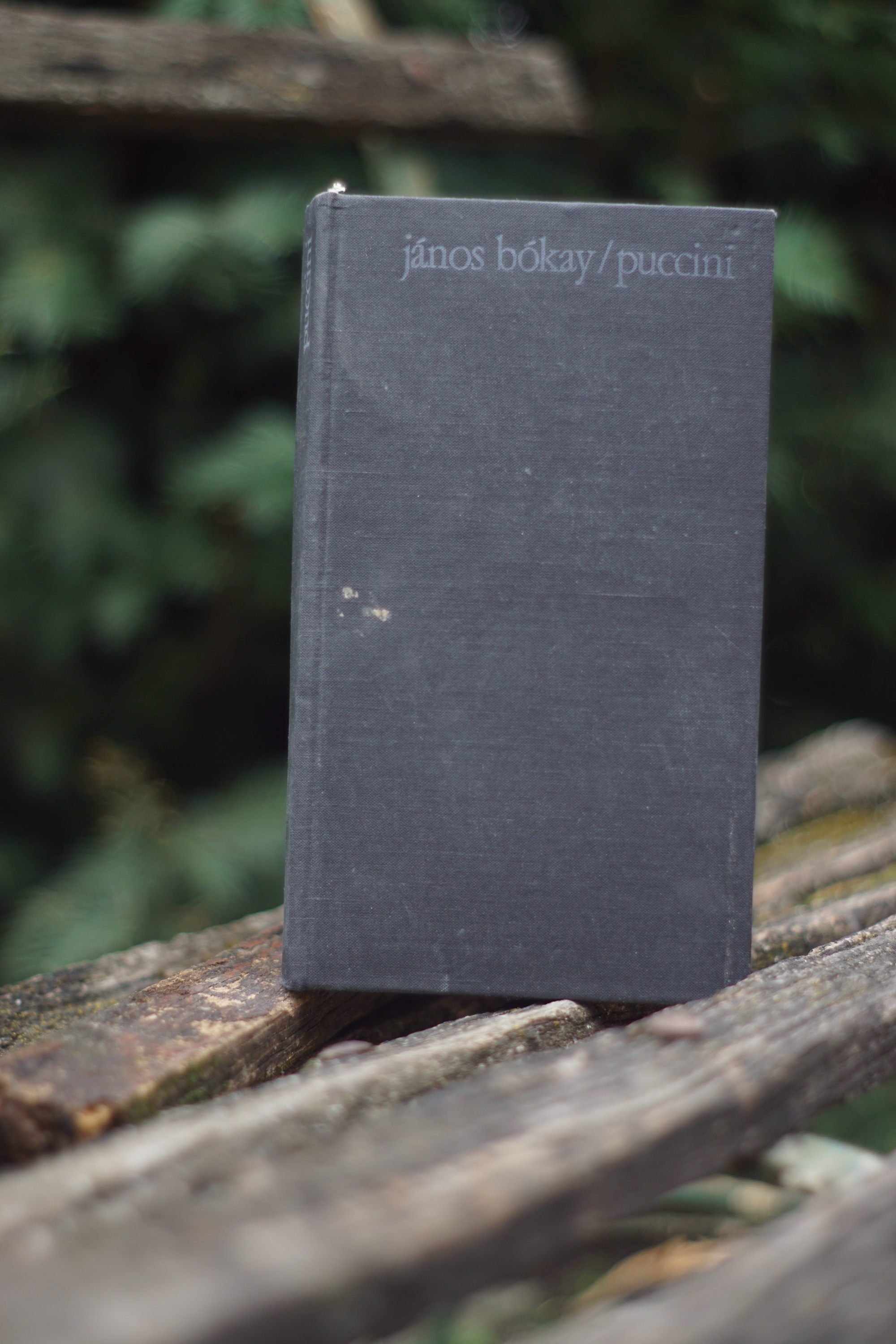 Puccini János Bókay
