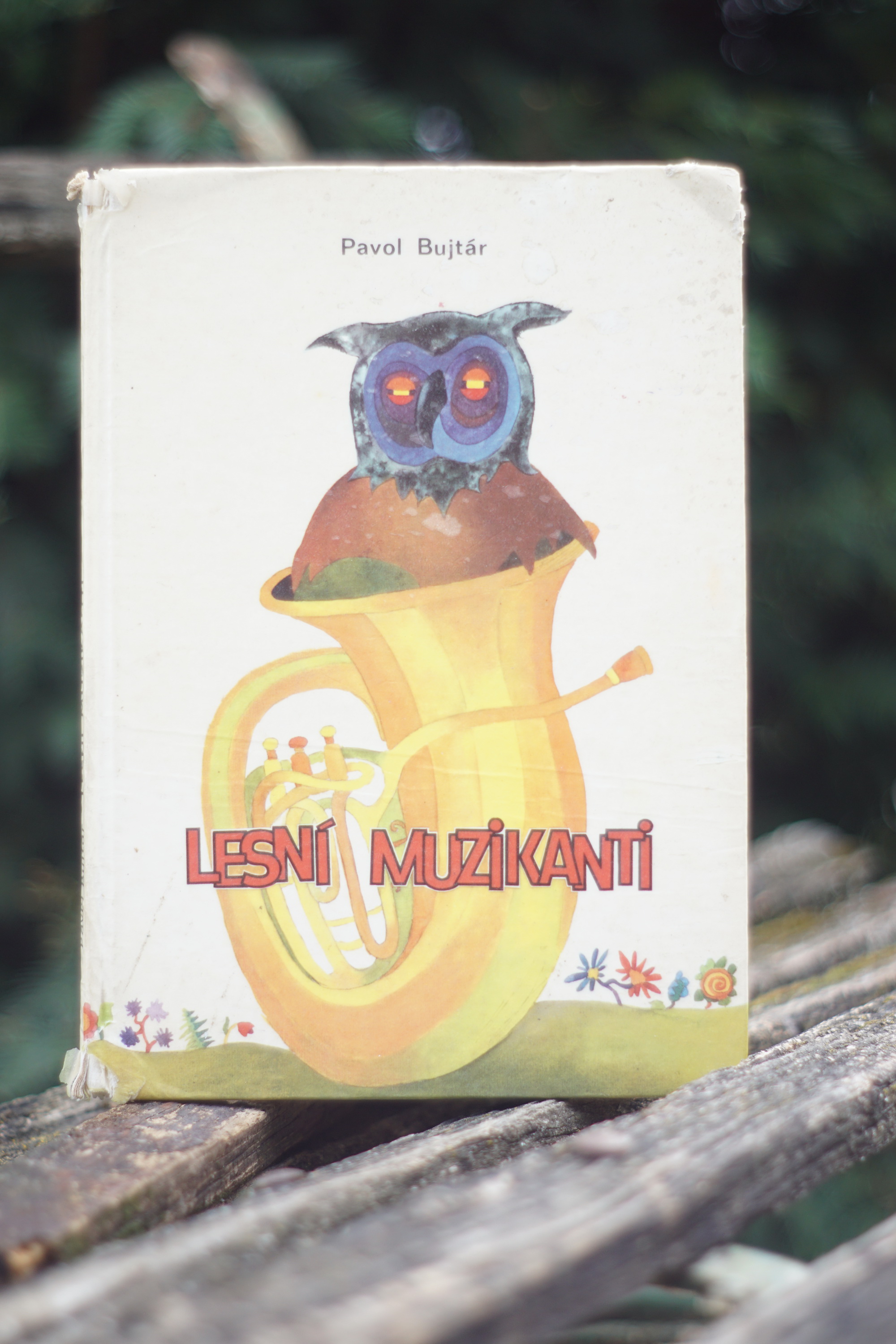 Lesní muzikanti Pavol Bujtár