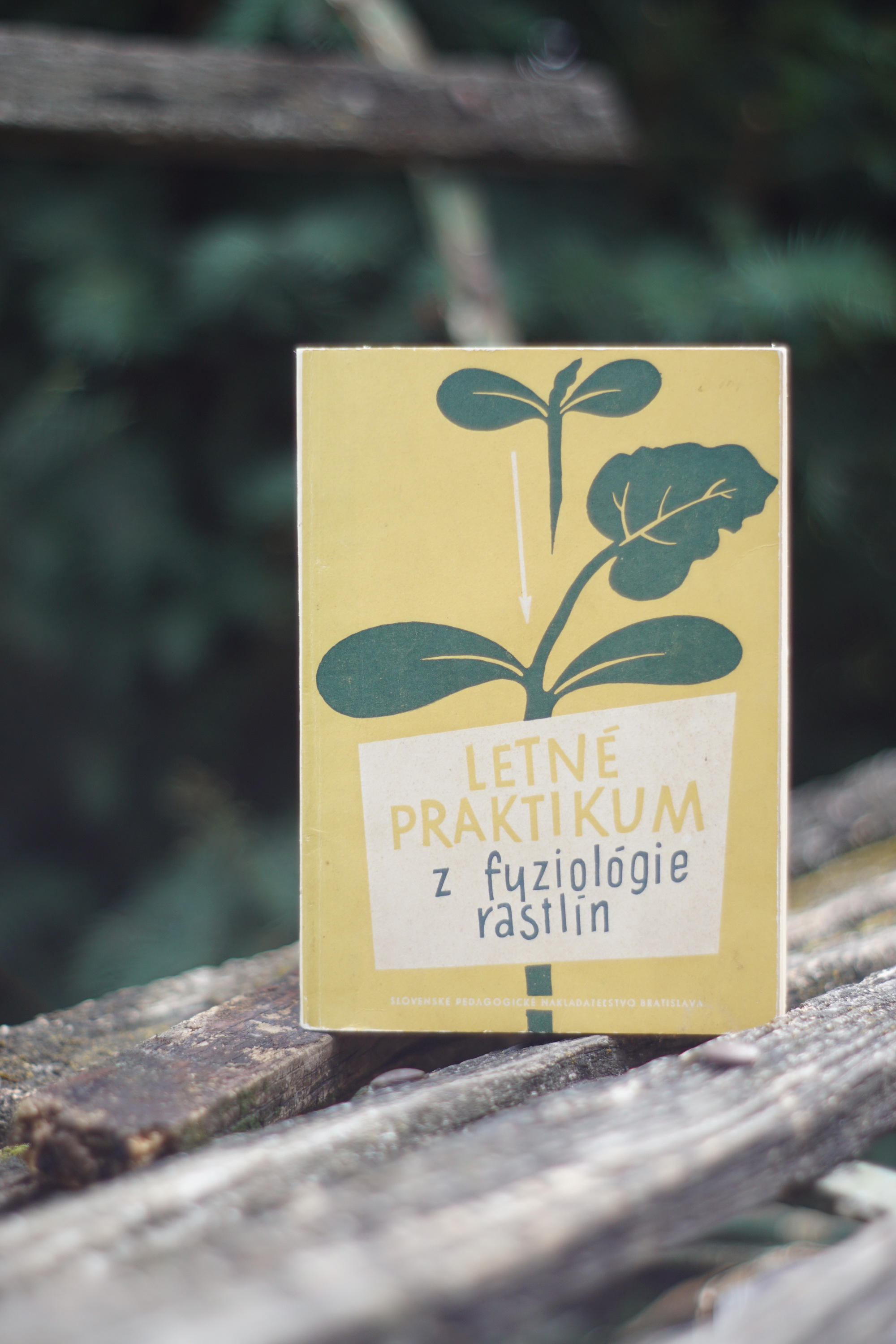 Letné praktikum z fyziológie rastlín