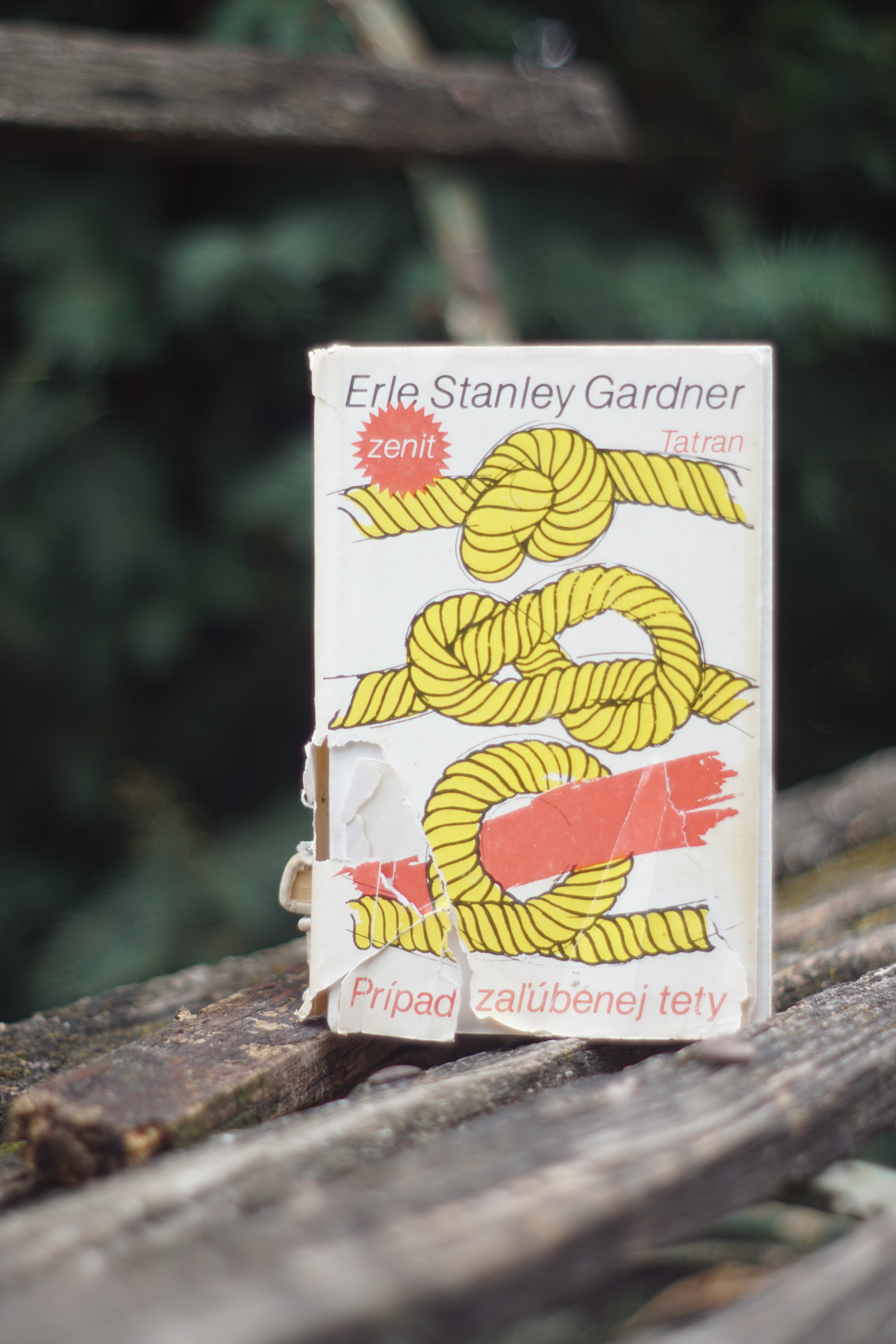 Prípad zal’úbenej tety Erle Stanley Gardner