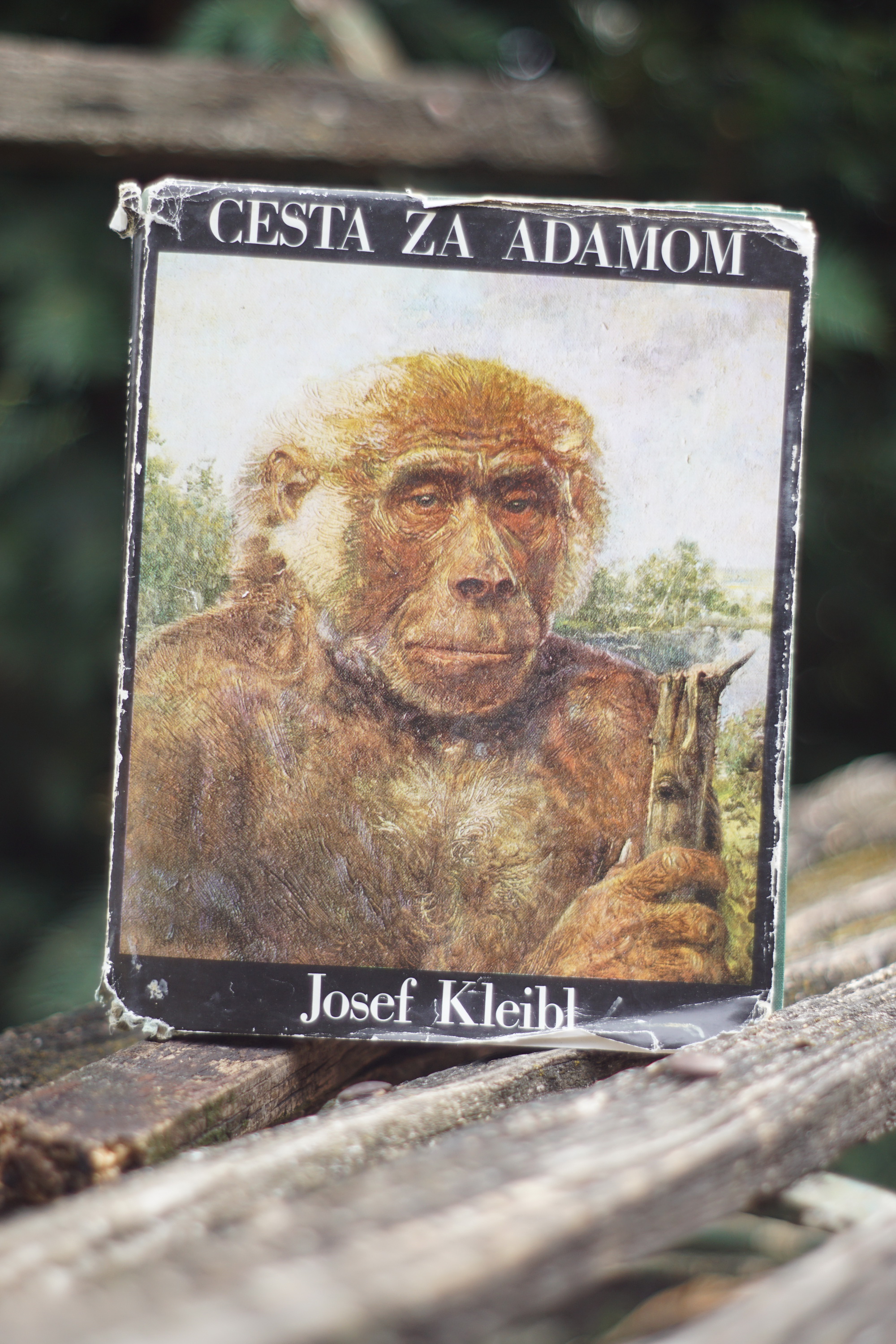 Cesta za Adamom Josef Kleibl