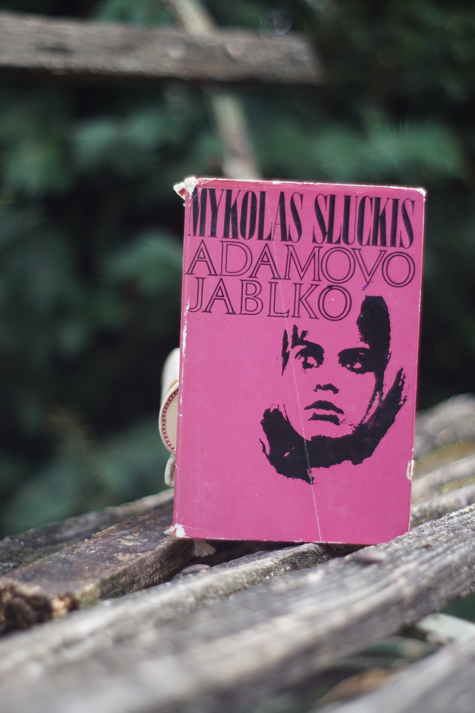Adamovo jablko Mykolas Sluckis