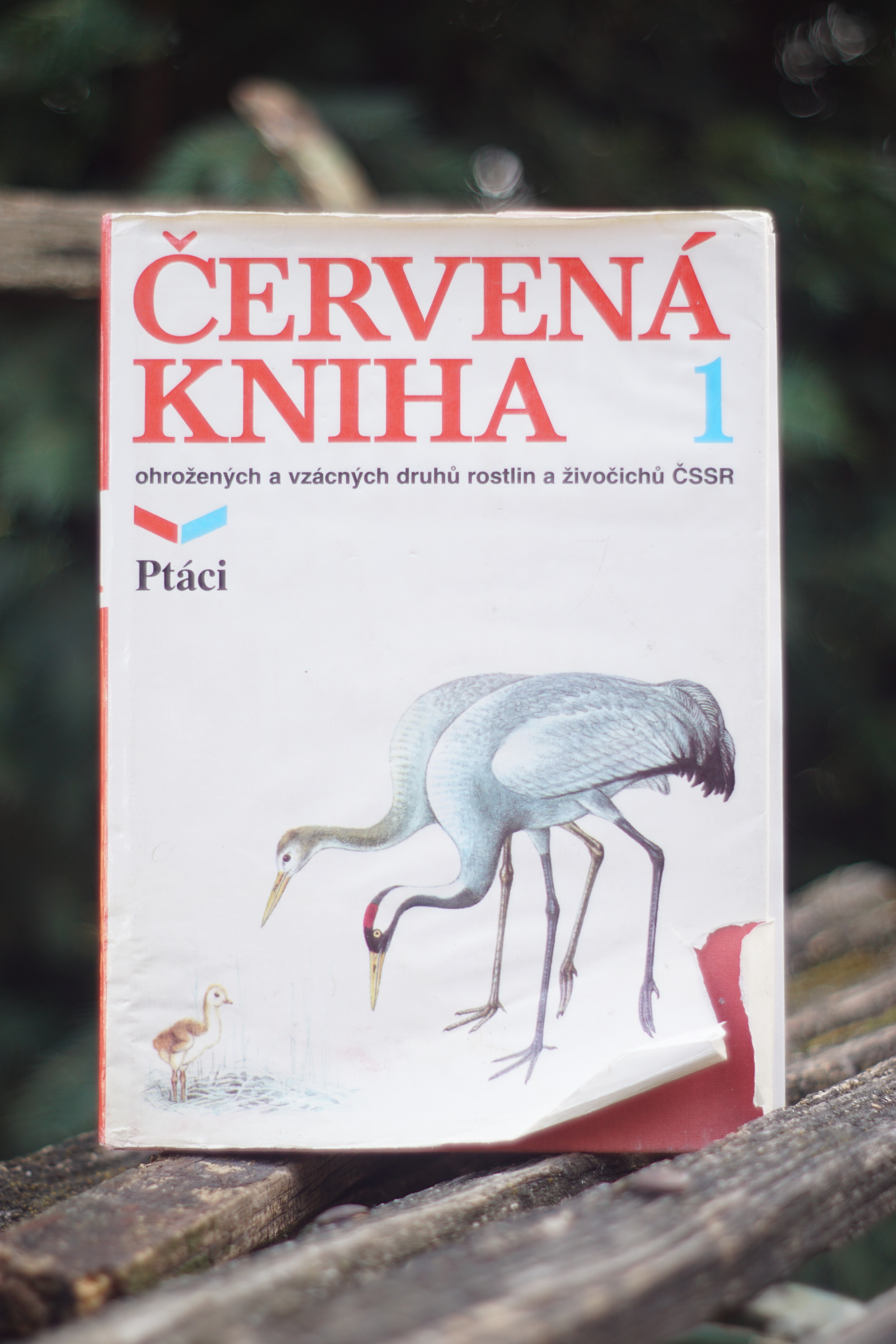 Červená kniha ohrožených a vzácných druhů rostlin a živočichů ČSSR 1 - Ptáci