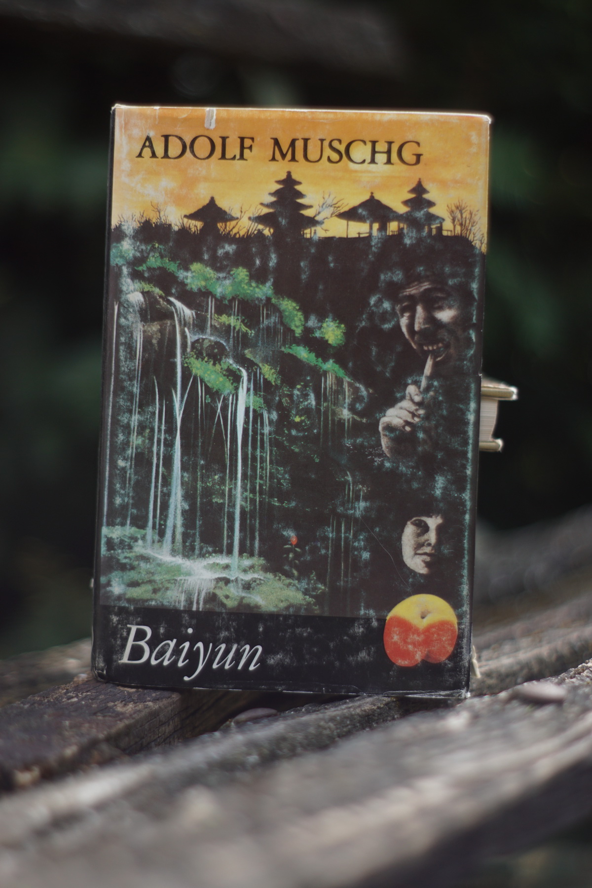 Baiyun Adolf Muschg