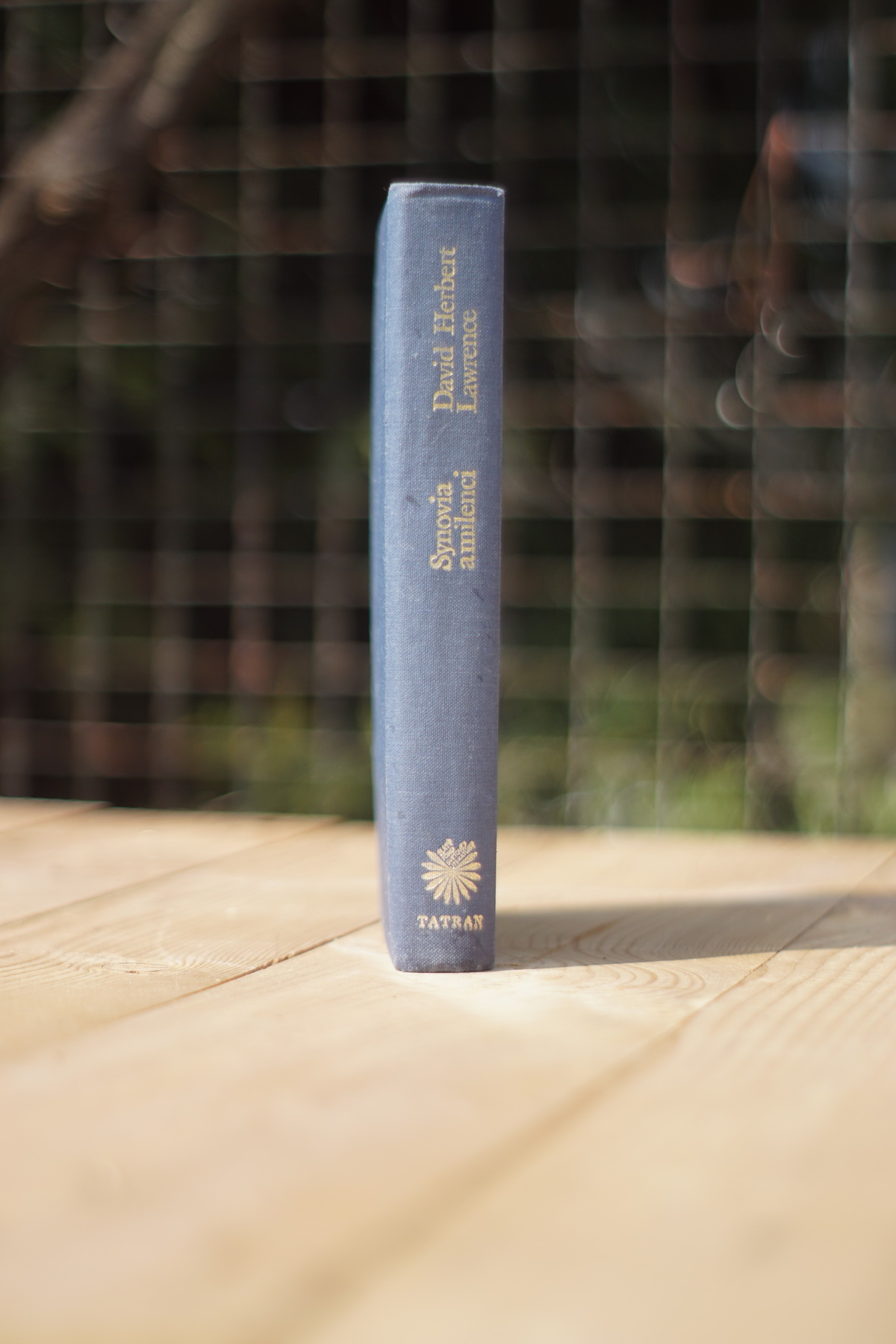 Synovia a milenci David Herbert Lawrence