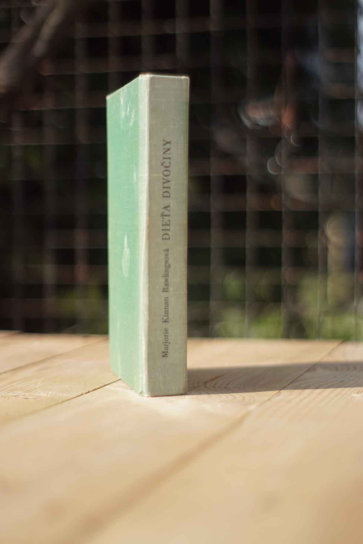 Dieťa divočiny Marjorie Kinnan Rawlings