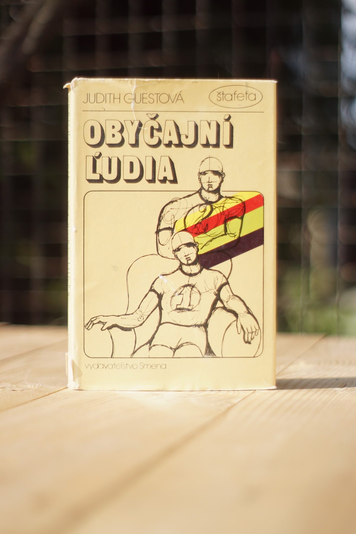 Obyčajní ľudia Judith Guest