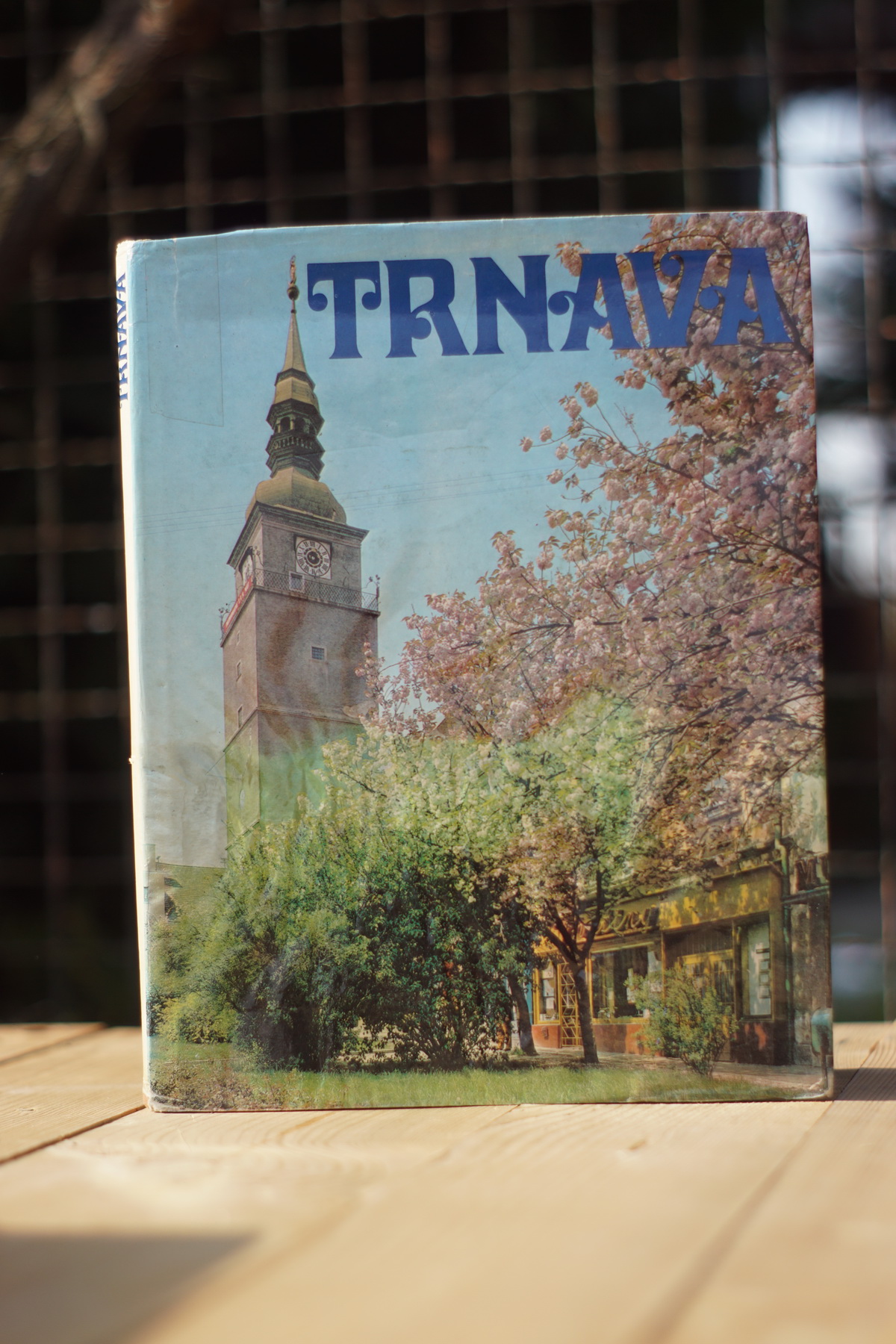 Trnava Peter Horváth