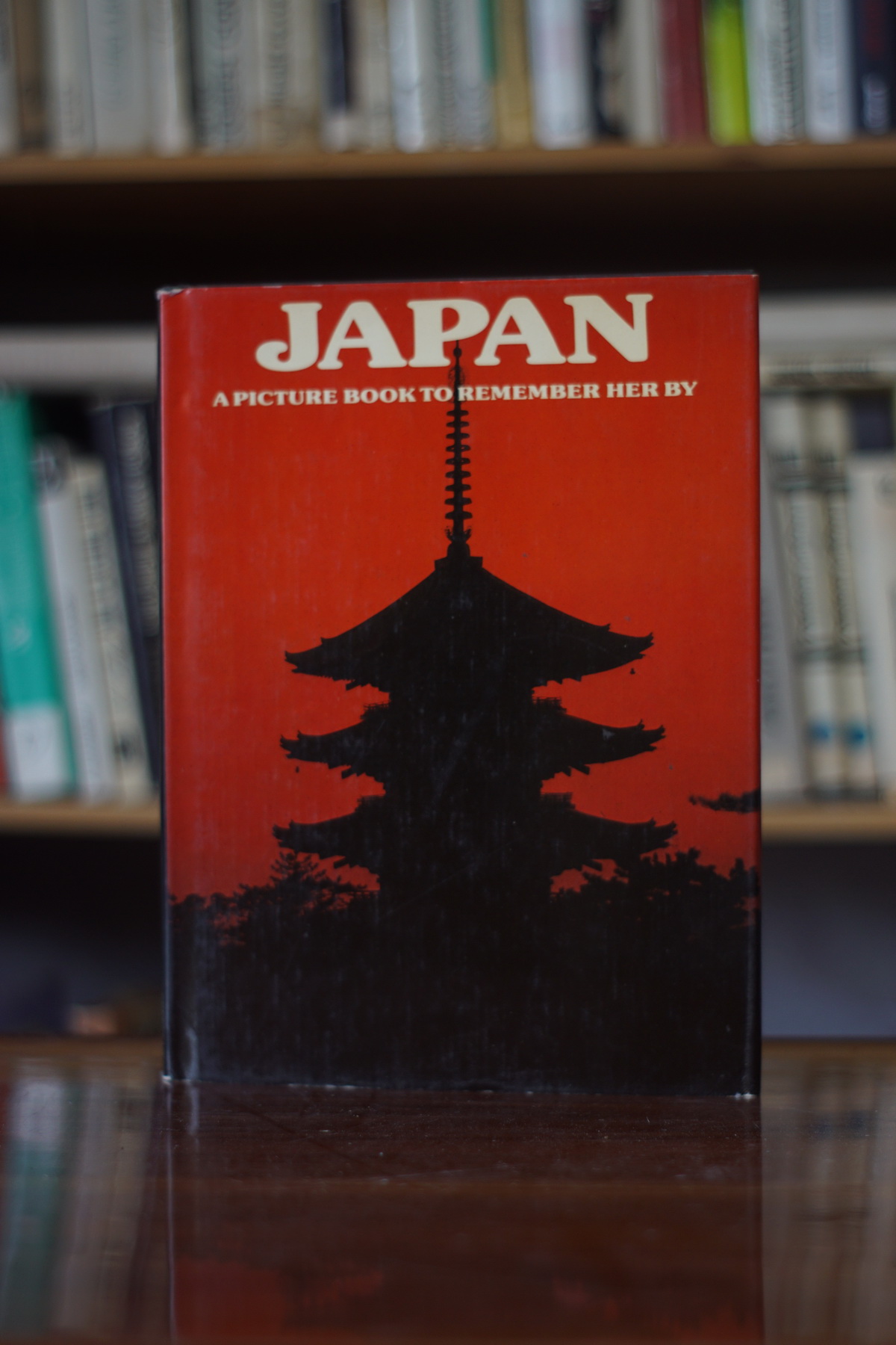 Japan A Picture Book to Remember Her by