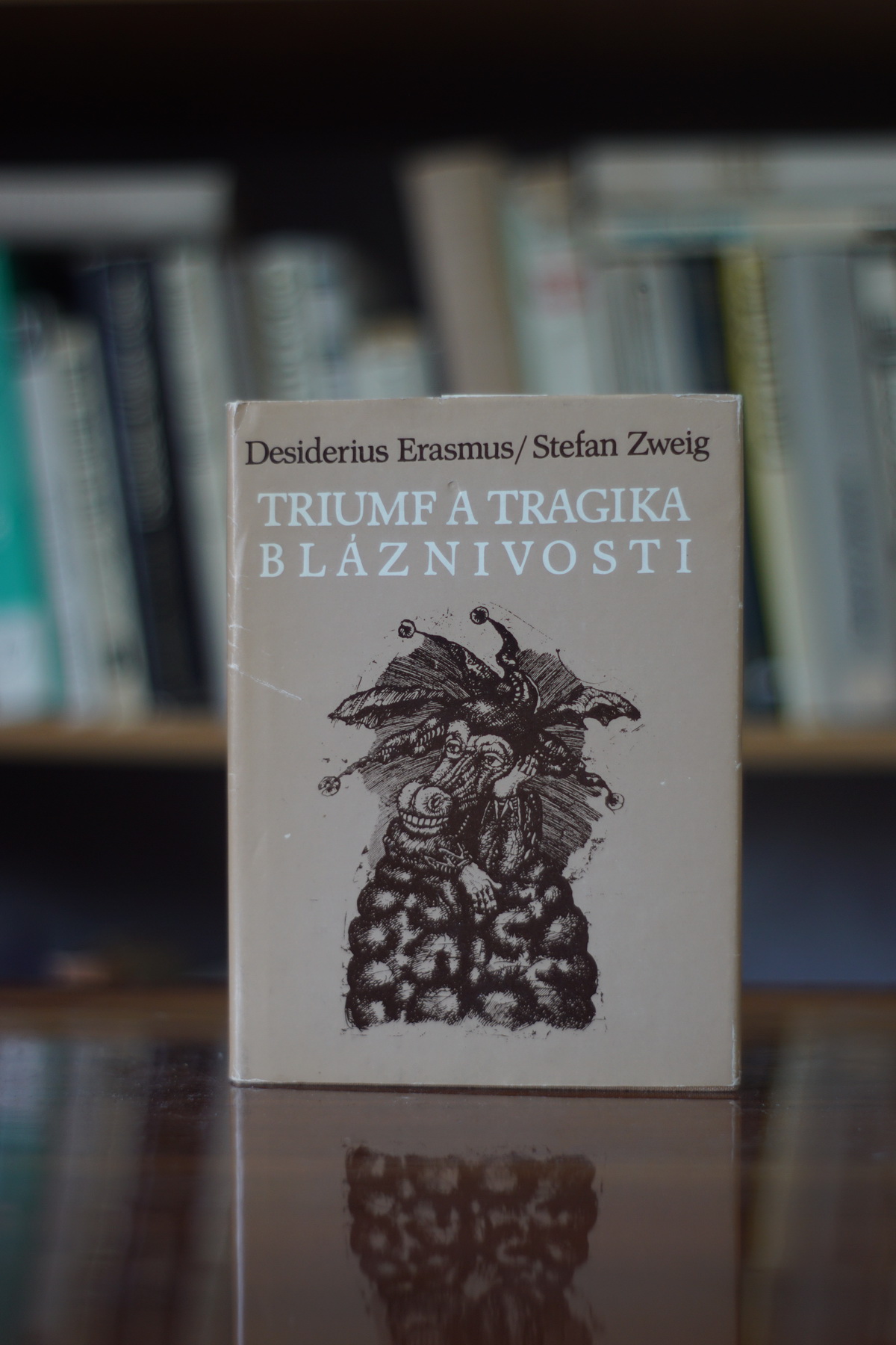 Triumf a tragika bláznivosti Erasmus Desiderius, Zweig Stefan