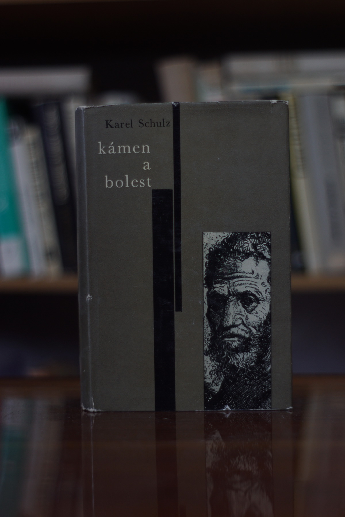 Kámen a bolest Karel Schulz