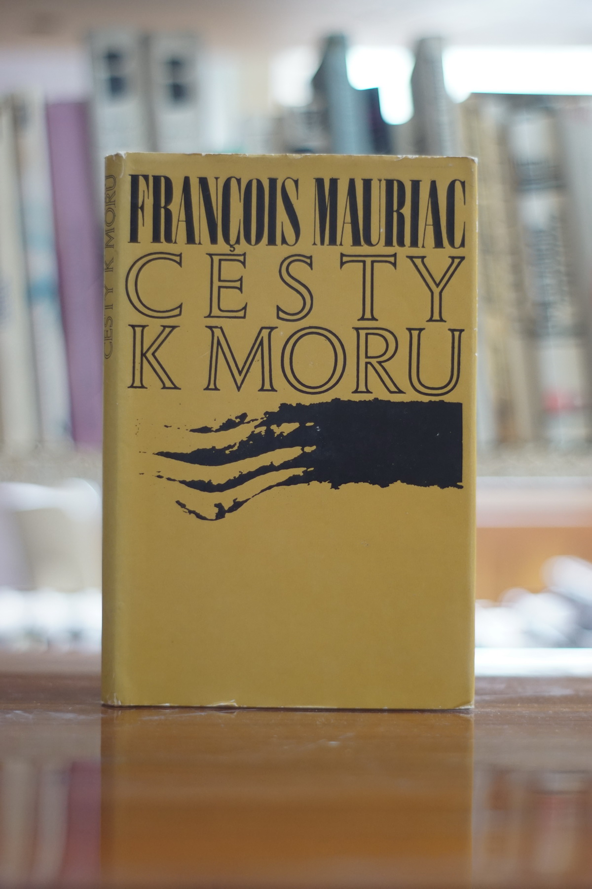 Cesta k moru Francois Muriac