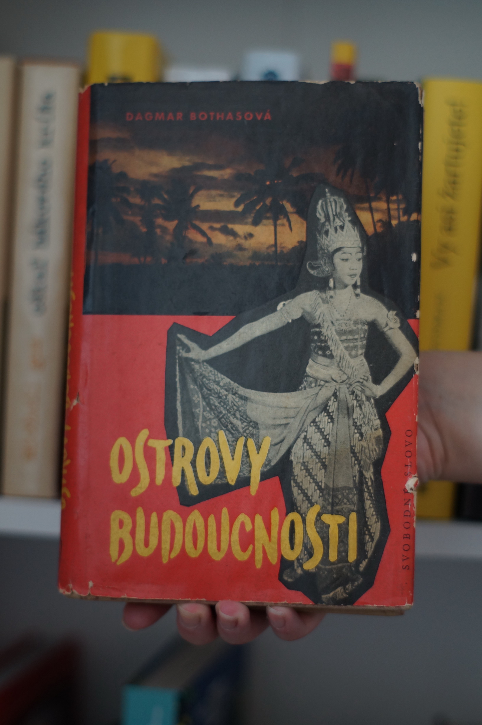 Ostrovy budoucnosti Dagmar Bothasová