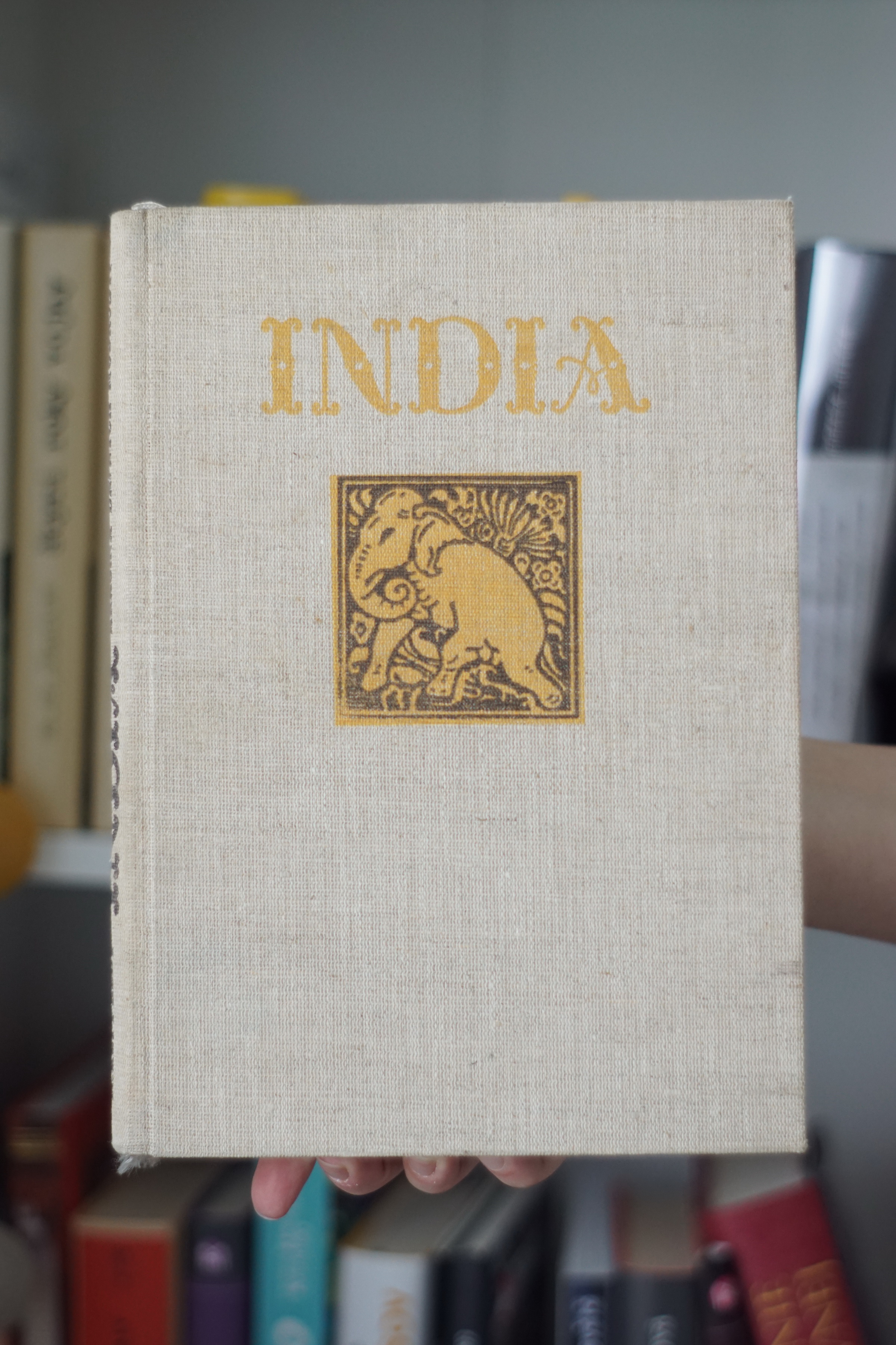 India krajina dávnych múdrostí Miloš Ruppeldt