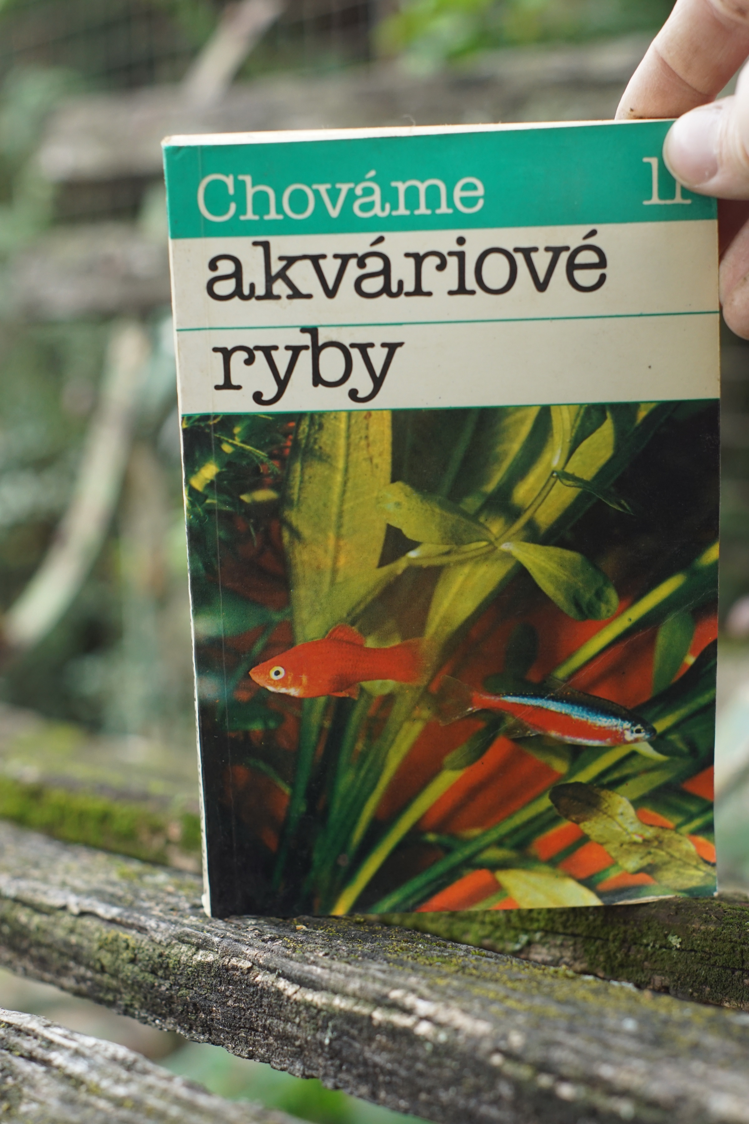 Chováme akváriové ryby II
