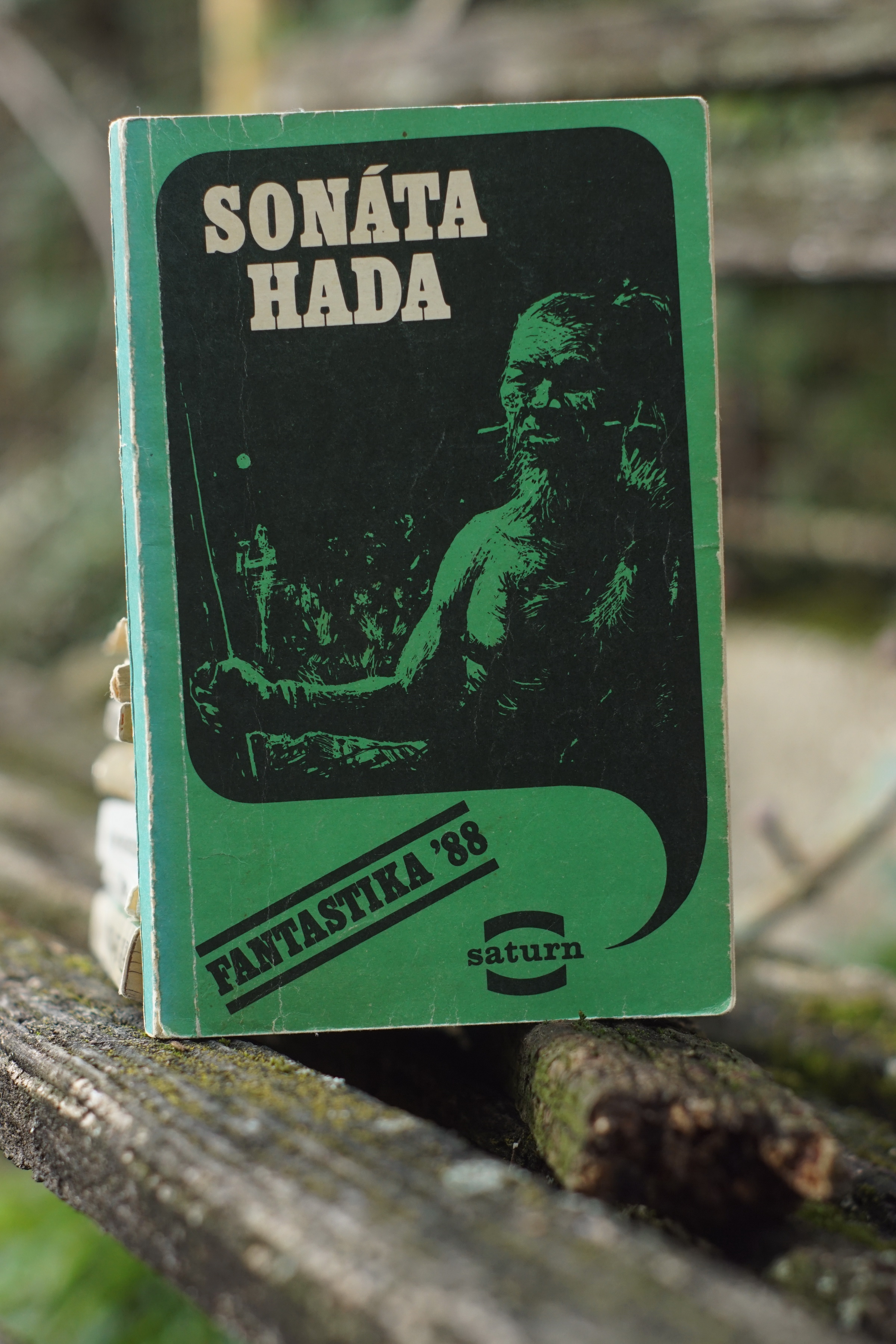Sonáta hada Vlado Riša