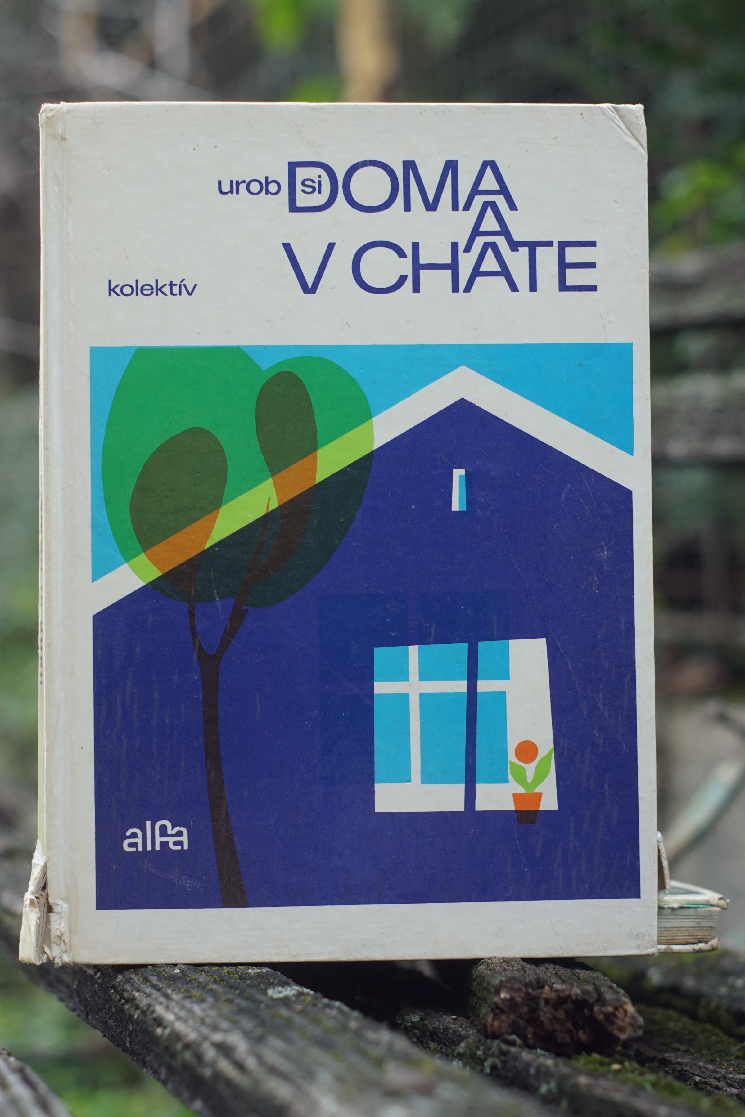 Urob si doma a v chate Kolektív autorov