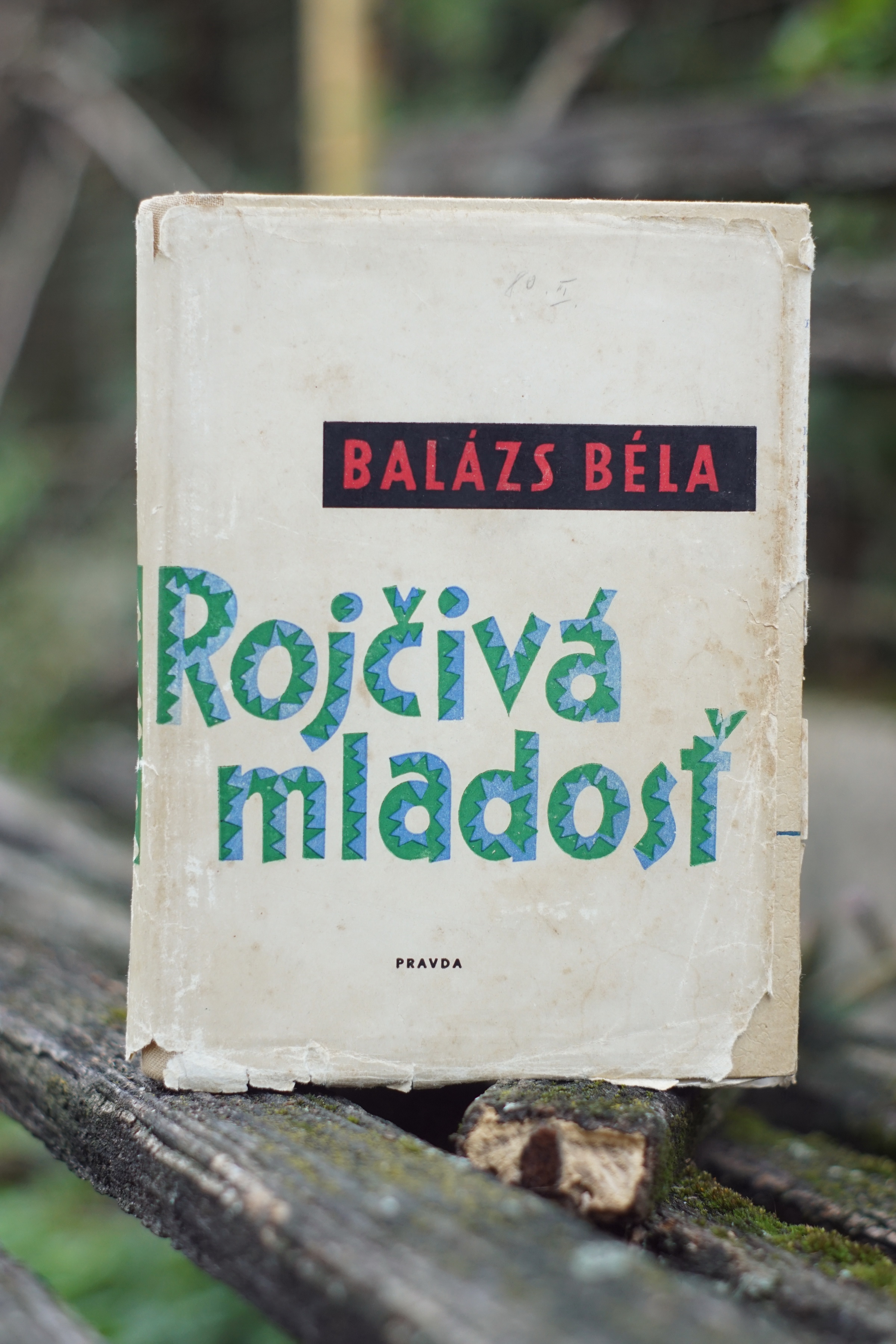 Rojčivá mladosť Balázs Béla