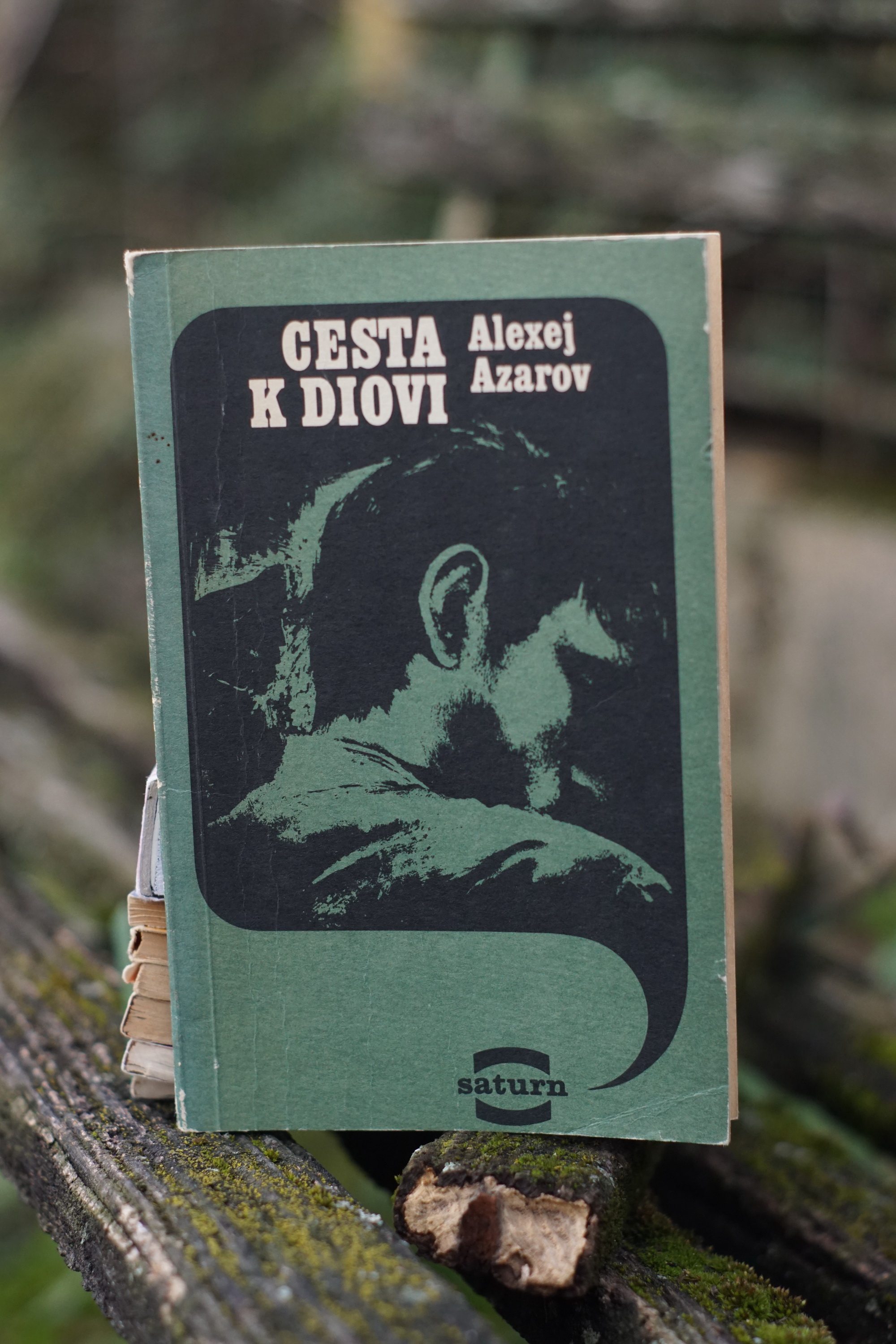 Cesta k Diovi kniha Alexej Sergejevič Azarov