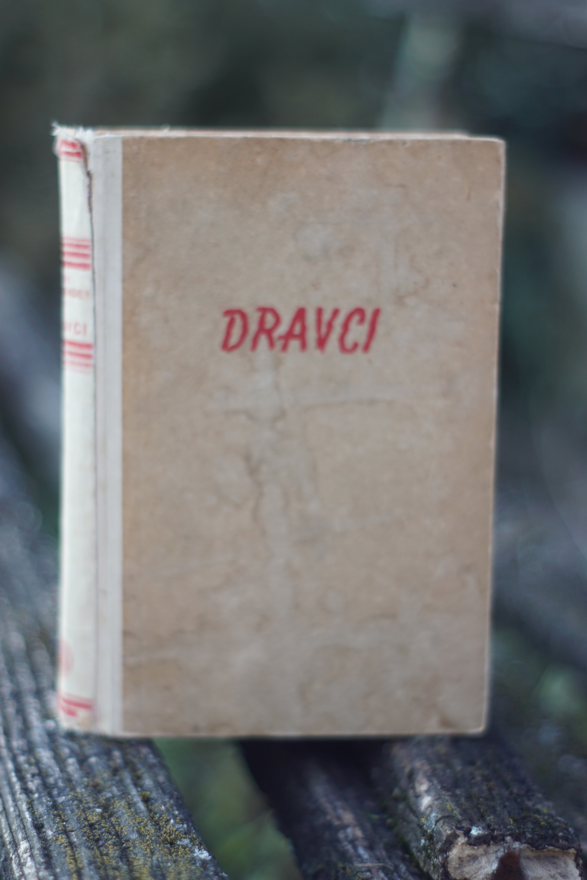 Dravci Max Dauthendey