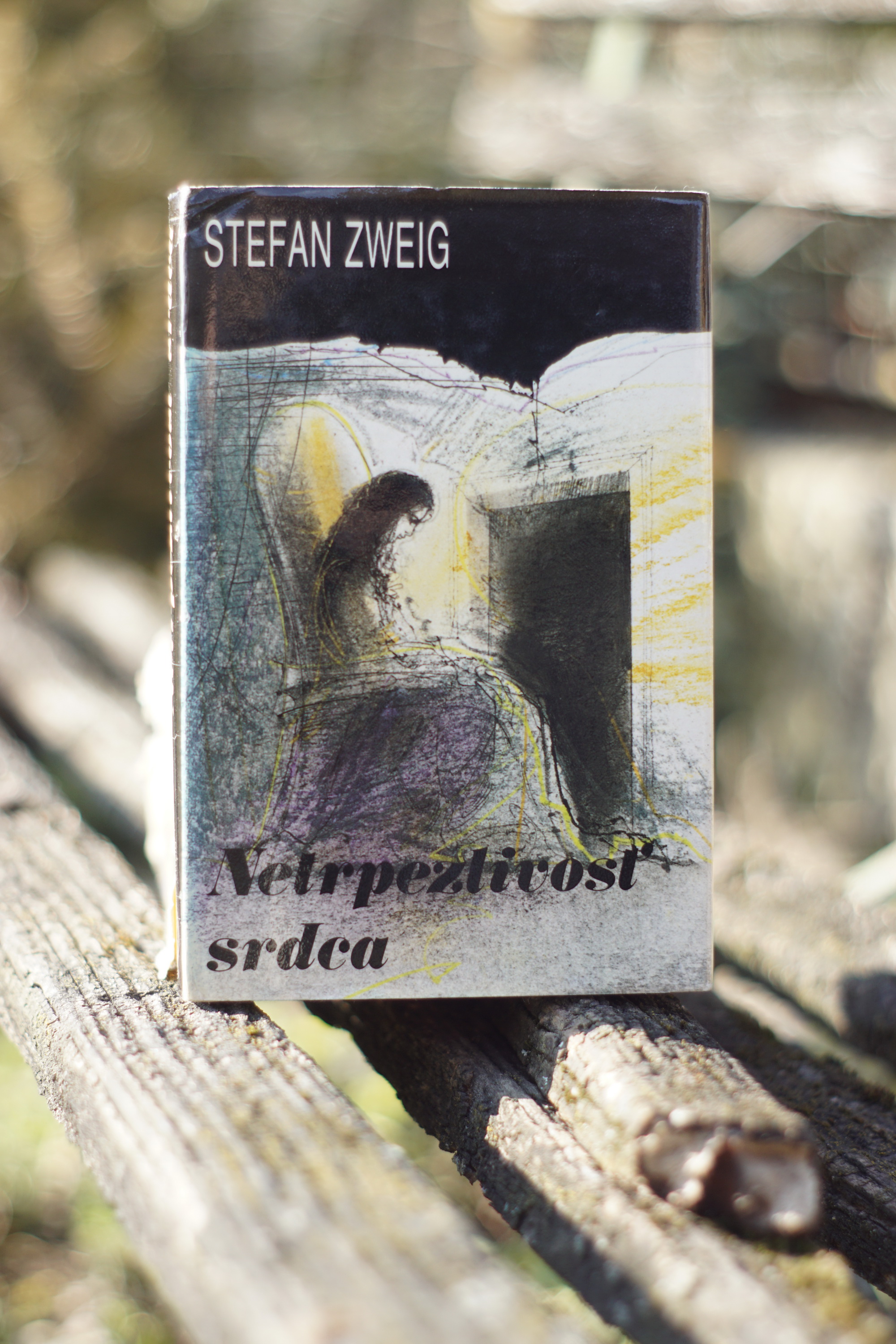 Netrpezlivosť srdca Stefan Zweig
