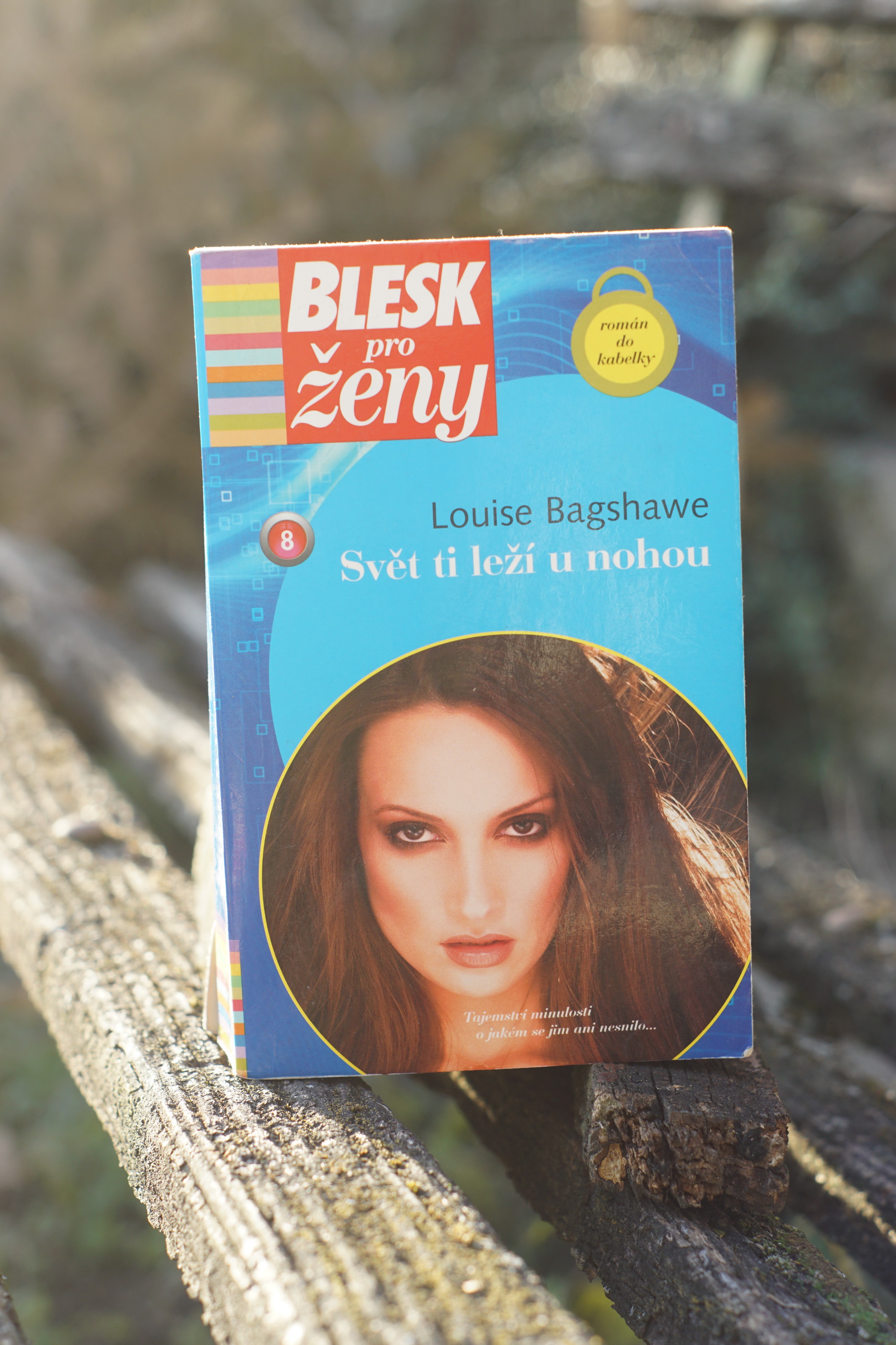 Svět ti leží u nohou Louise Bagshawe