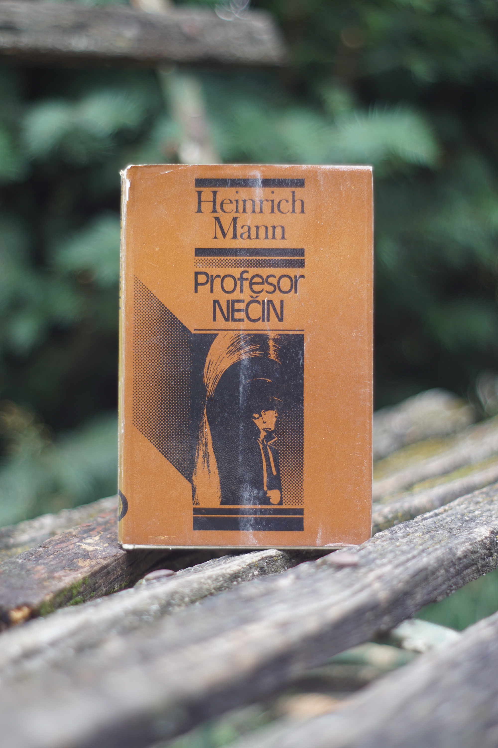 Profesor Nečin Heinrich Mann