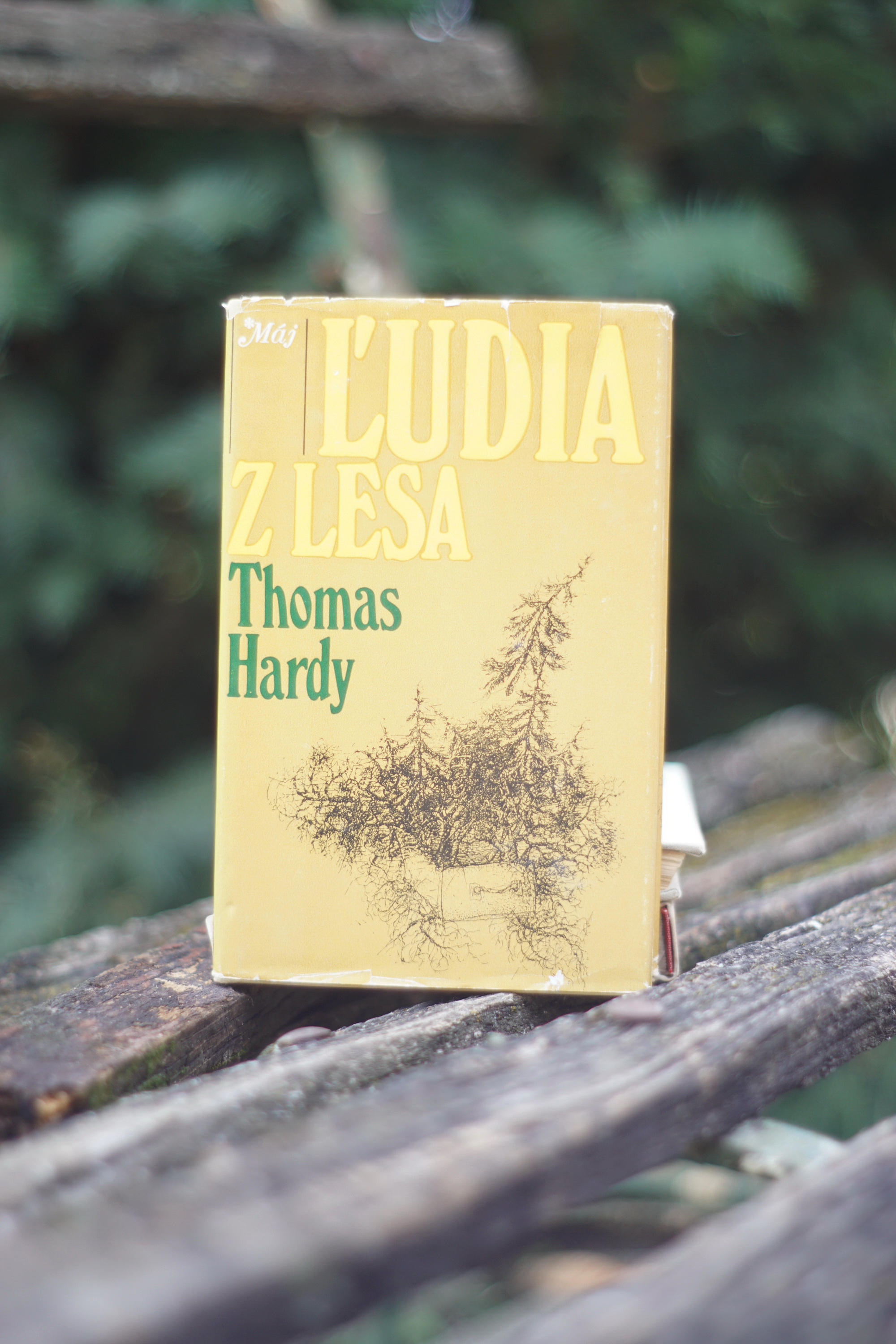 Ľudia z lesa Thomas Hardy