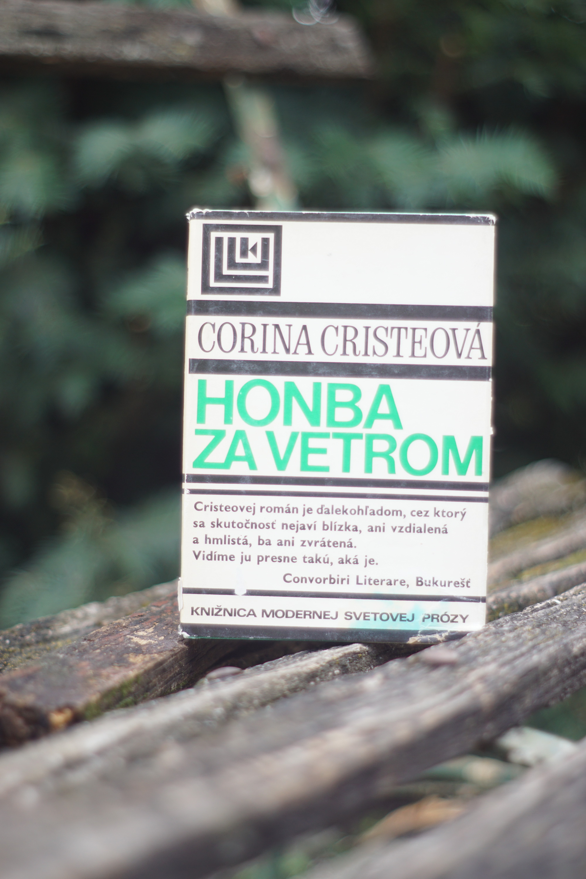 Honba za vetrom Corina Cristea